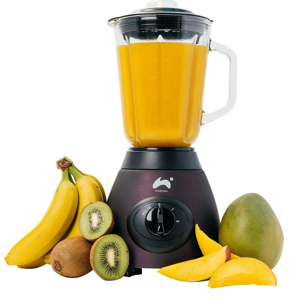 Ovation 500W Purple Multi Blender Juicer Glass Jug Smoothie Maker Food