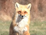 waltonfox65
