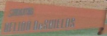 2000 Topps Stadium Club - Delino DeShields #23