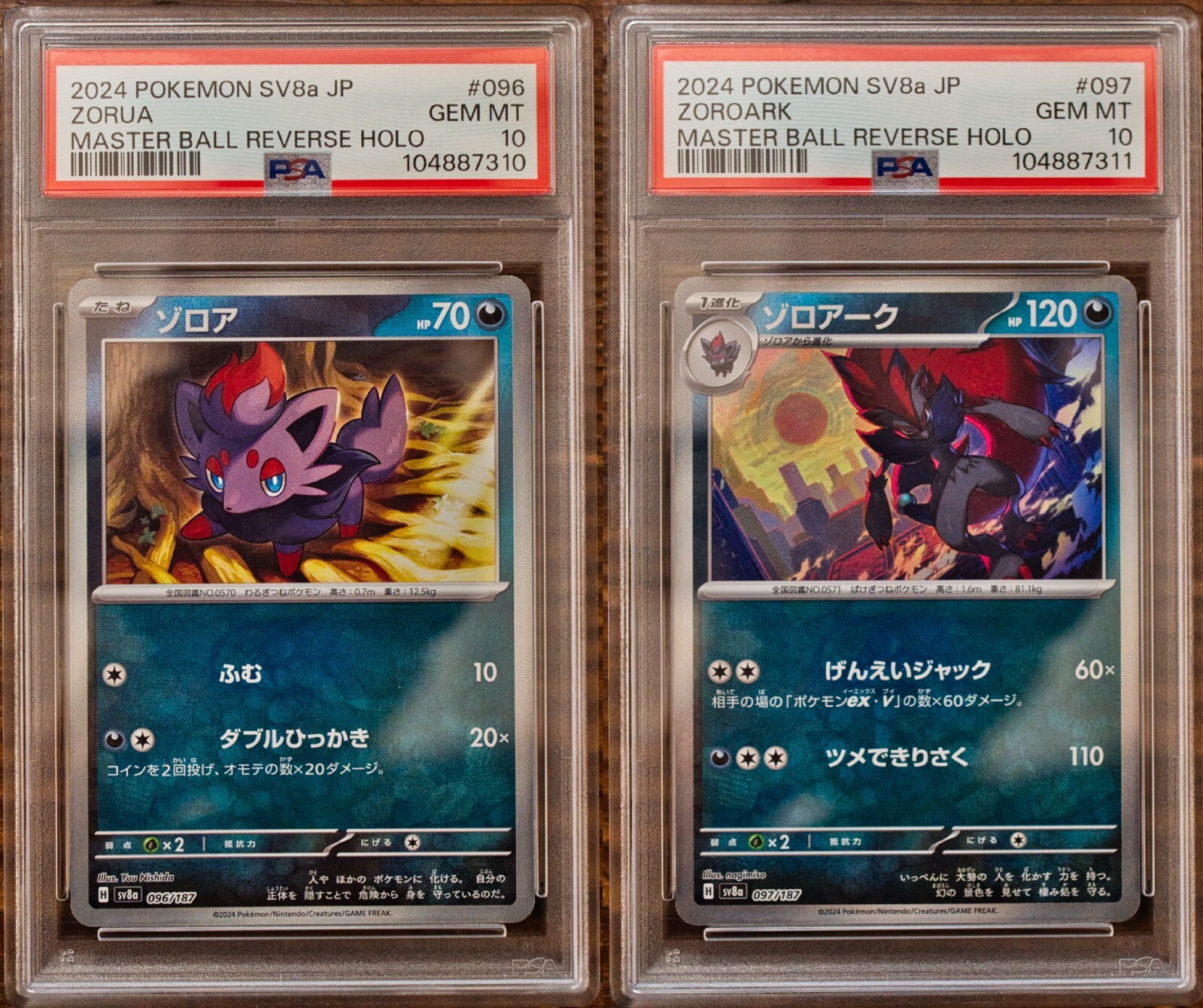 ポケモンカードゲーム PSA10 ZORUA ZOROARK MASTER BALL REVERSE PSA 10 Zorua Zoroark Master Ball Holo sv8a Terastal Fes SEQ