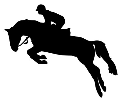 HORSE JUMPING Vinyl Sticker - Show Jumping Stadium Open Dressage - Die Cut Decal