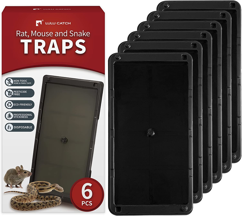 Pack - Rats Mice & Snakes Sticky Mouse Trap With Non-toxic Glue