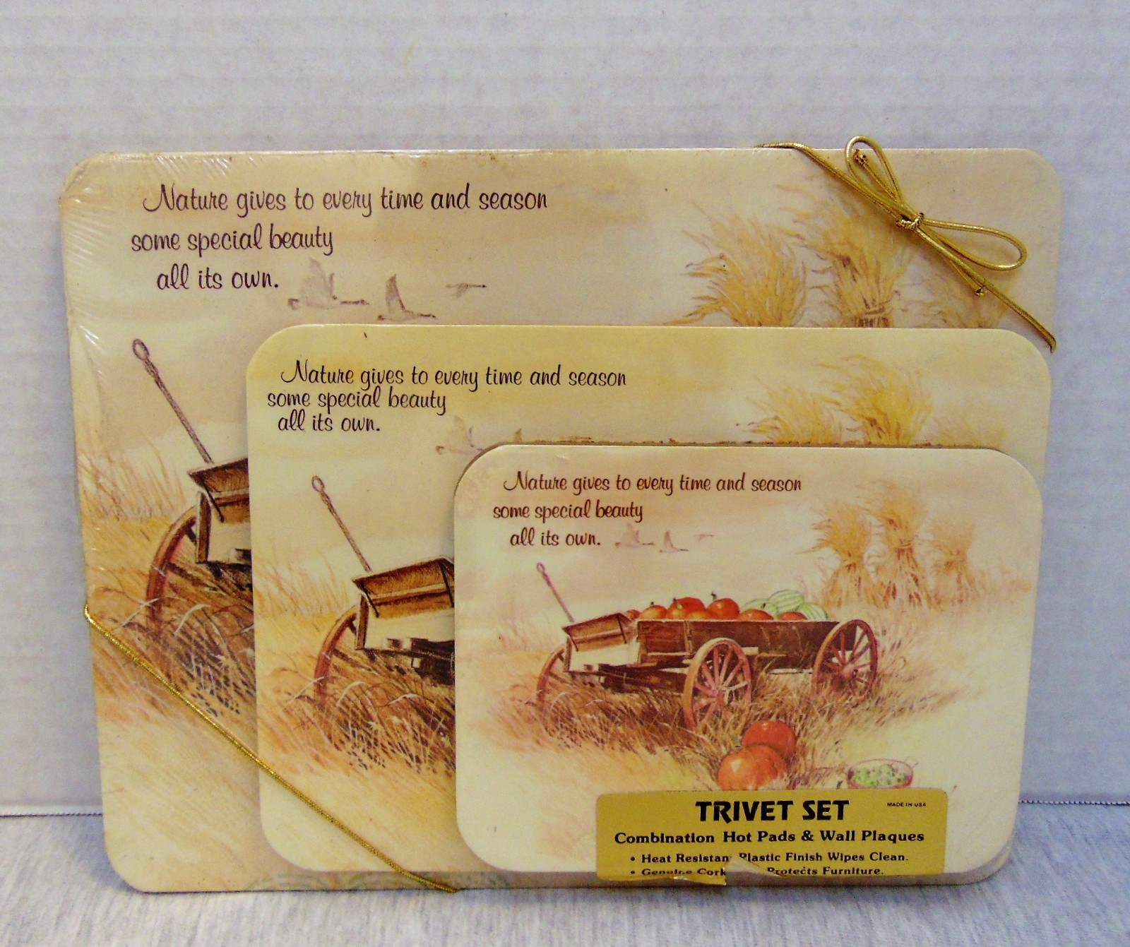 Set of 3 Trivet Different Sizes Fall Harvest Made in USA Cork Back