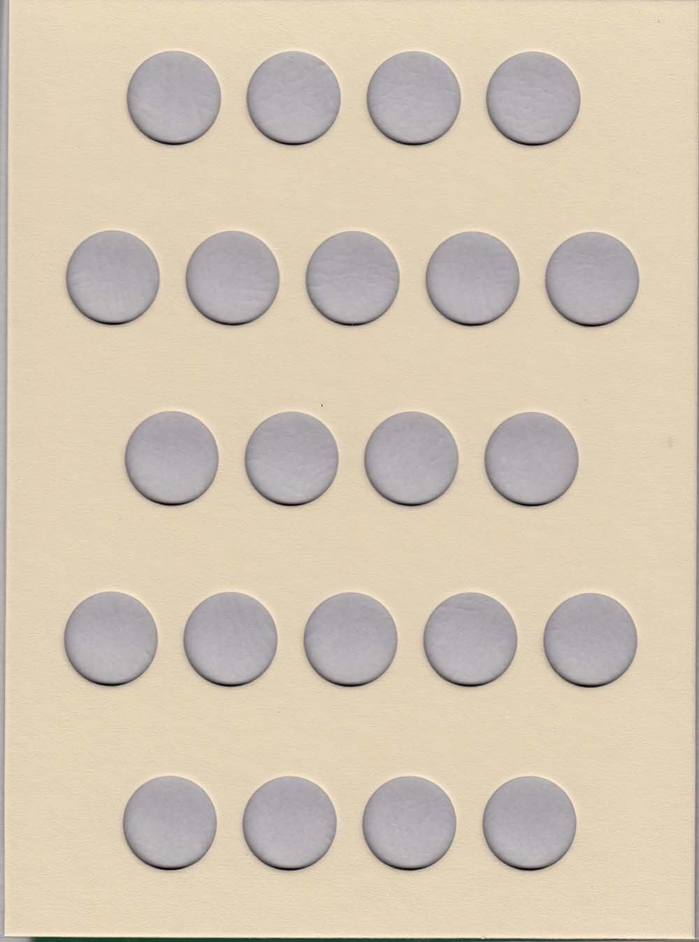 Littleton Coin Folder LCFQ For Collection Of US Quarters Blank New Free Shipping