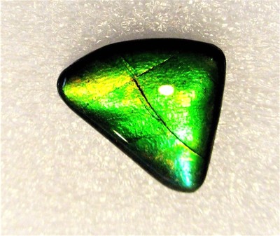 AMMOLITE GEMSTONE 20mm x 15mm