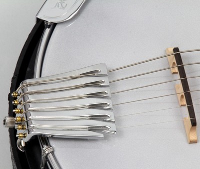 Gold Tone AC-6+ GT Series Banjitar