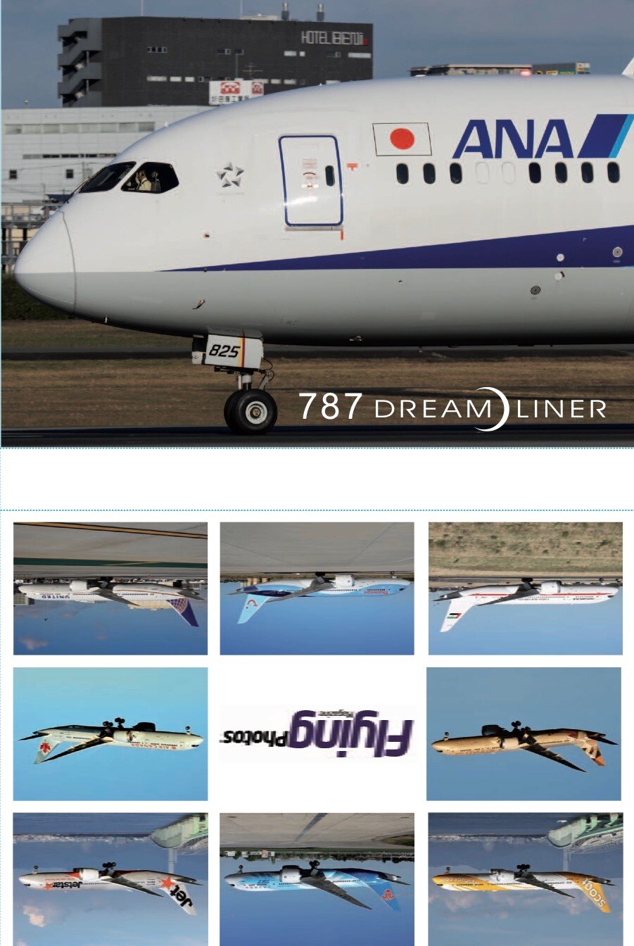ANA 787 ポスター Boeing 787 Dreamliner - Set of 36 postcard. Exclusive
