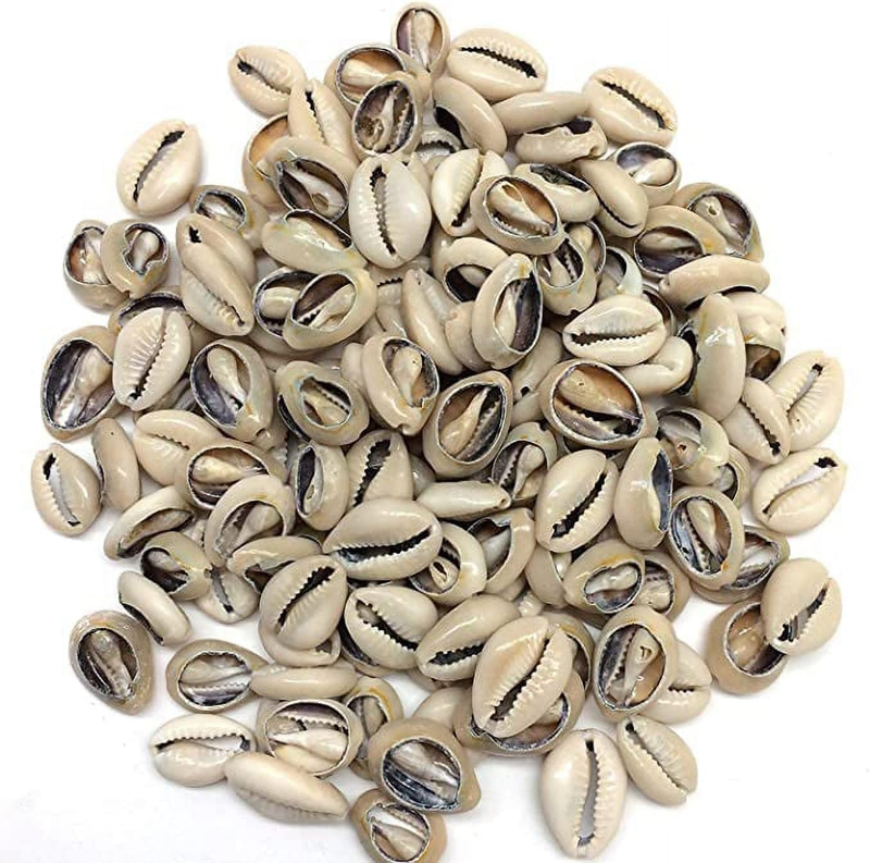 100 Pcs Beige White Natural Cowrie Shells Beads Oval Beach Seashells African for
