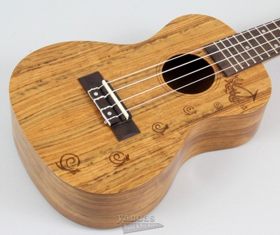 Amahi Snail Series Concert Ukulele Walnut