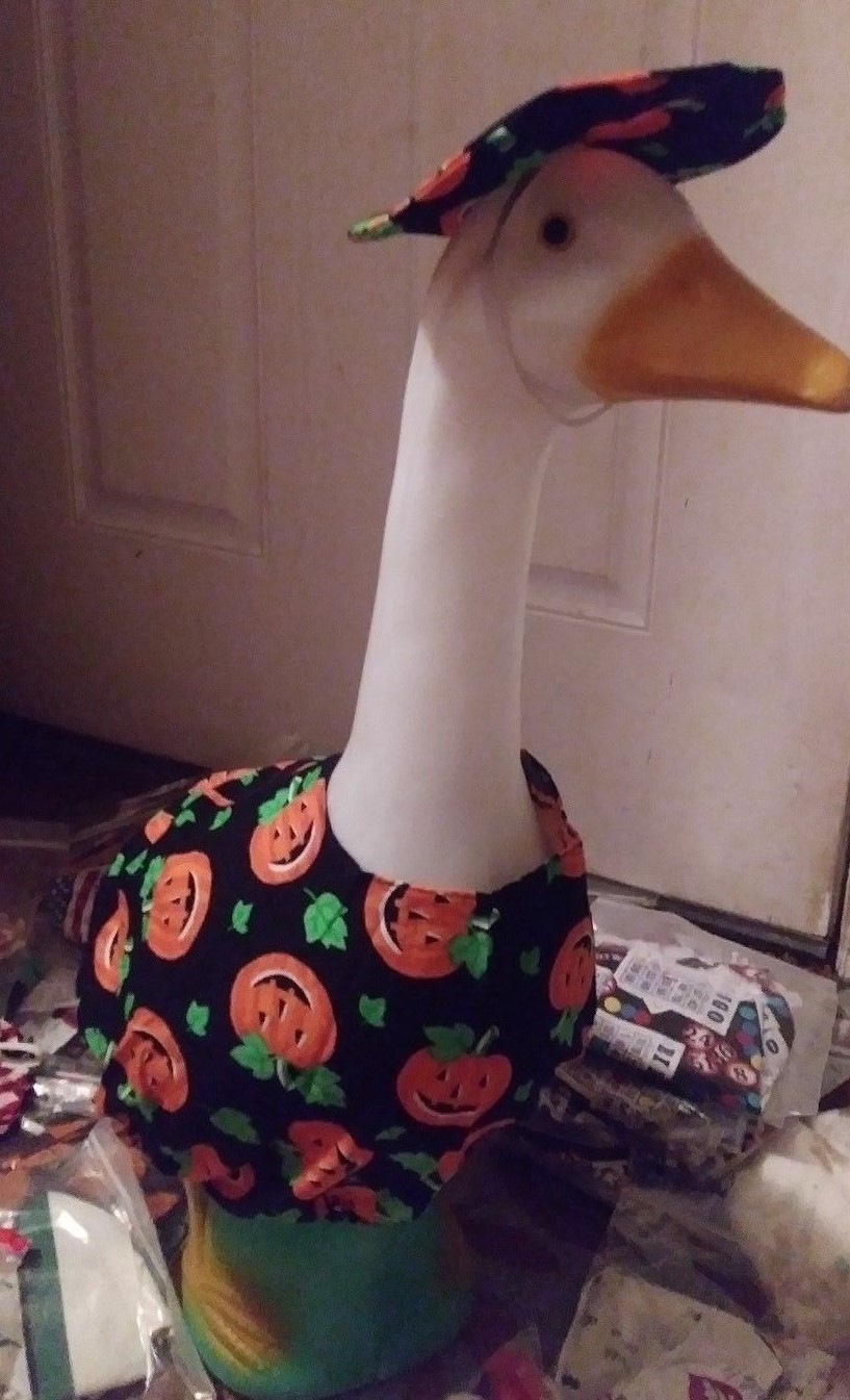 Goose Clothes Holidays Wizard, Witches, Jack-O-Lantern, Swin suit, Dental Nurse