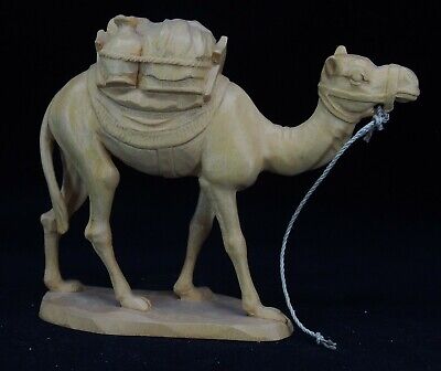 Carved Figures Wood Camel Vatican
