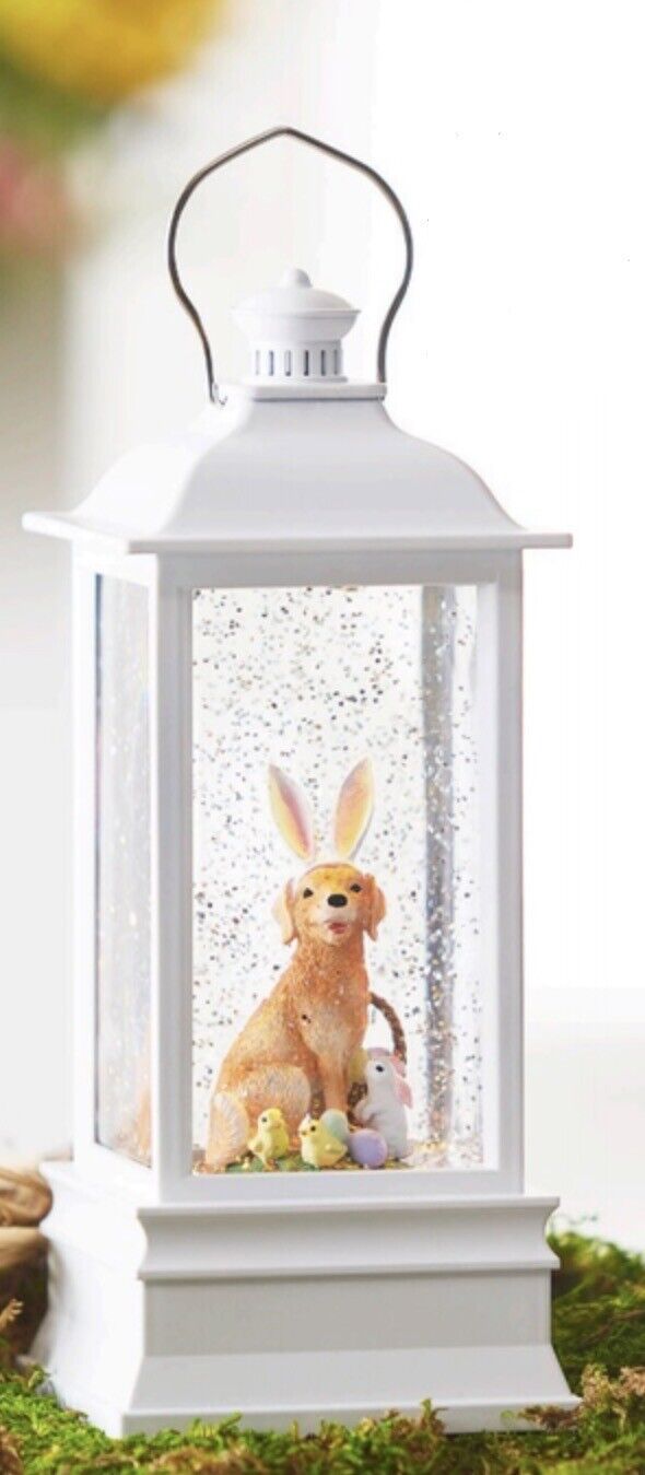 DOG WITH BUNNY EARS LED LIGHTED WHITE WATER LANTERN FUN Raz DOG WITH BUNNY EARS LED LIGHTED WHITE WATER LANTERN FUN Raz