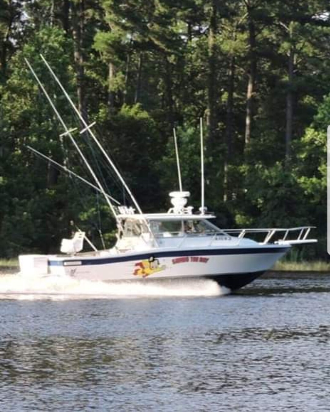 BAYLINER TROPHY Convertible