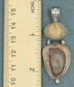 P3171017 (2).JPG