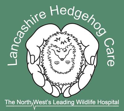 The Lancashire Hedgehog Care Trust