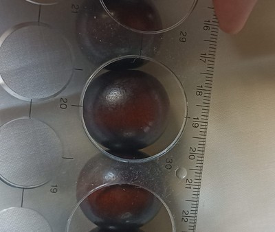 Artikelfoto(s) von einem verifizierten Käufer