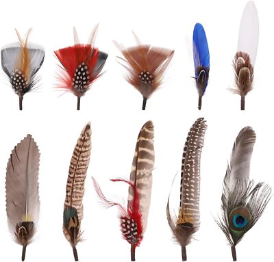 10pcs Hat Feathers, 10 Styles Craft Feathers for Hats Peacock Feathers... 