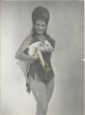 Hendrickson Hand Tinted 5x7 Photograph Country Vixen High Hair Holding Pig R172