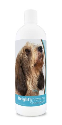 Healthy Breeds Petits Bassets Griffons Vendeen Bright Whiten