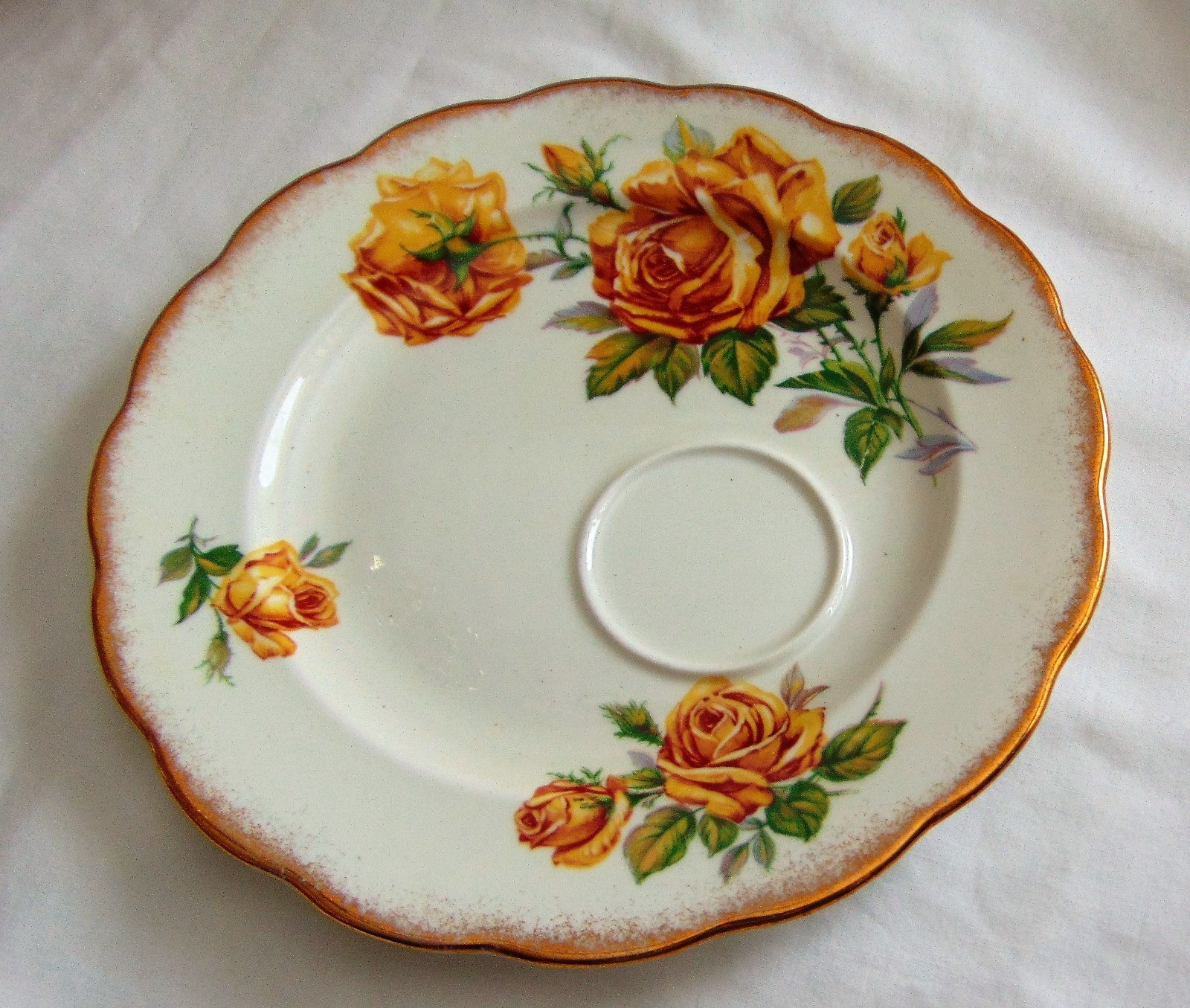 Royal Standard Fine Bone China ROMANY ROSE Cup & Saucer Plate Set of 6 UNIQUE !!