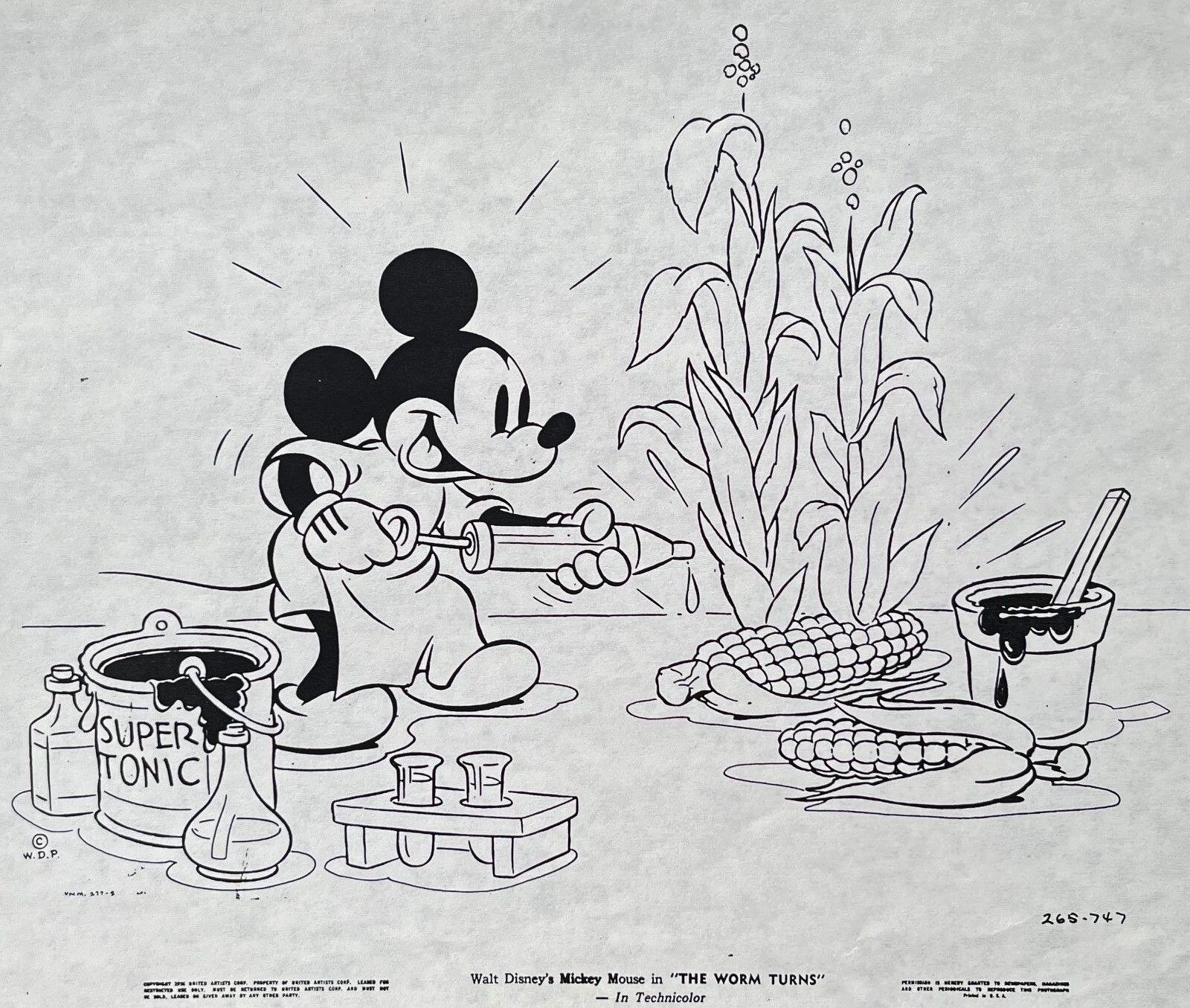 VCD MICKEY MOUSE（The Worm Turns） VCD Mickey Mouse (The Worm Turns) | HLJ.com