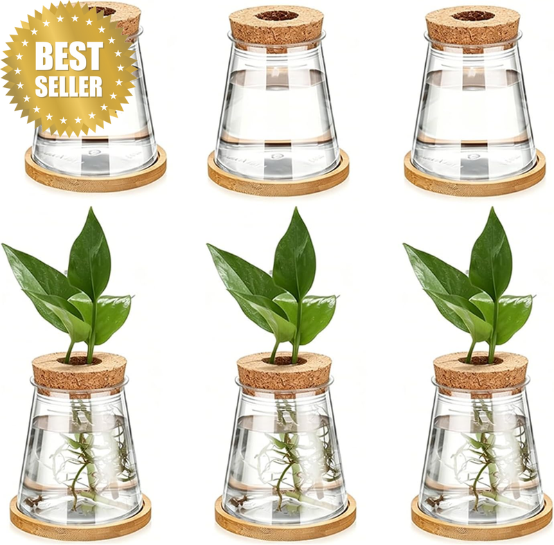 6 Pcs Plants Propagation Station, Clear Glass Water Hydroponic Vases, Desktop Sm
