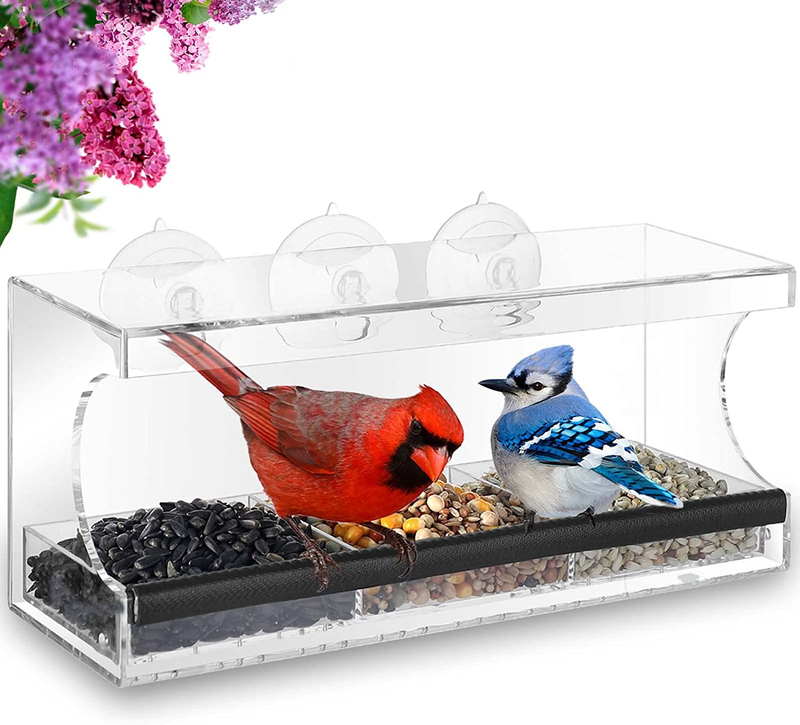 For Outside With Strong Suction Cups, Cardinals
