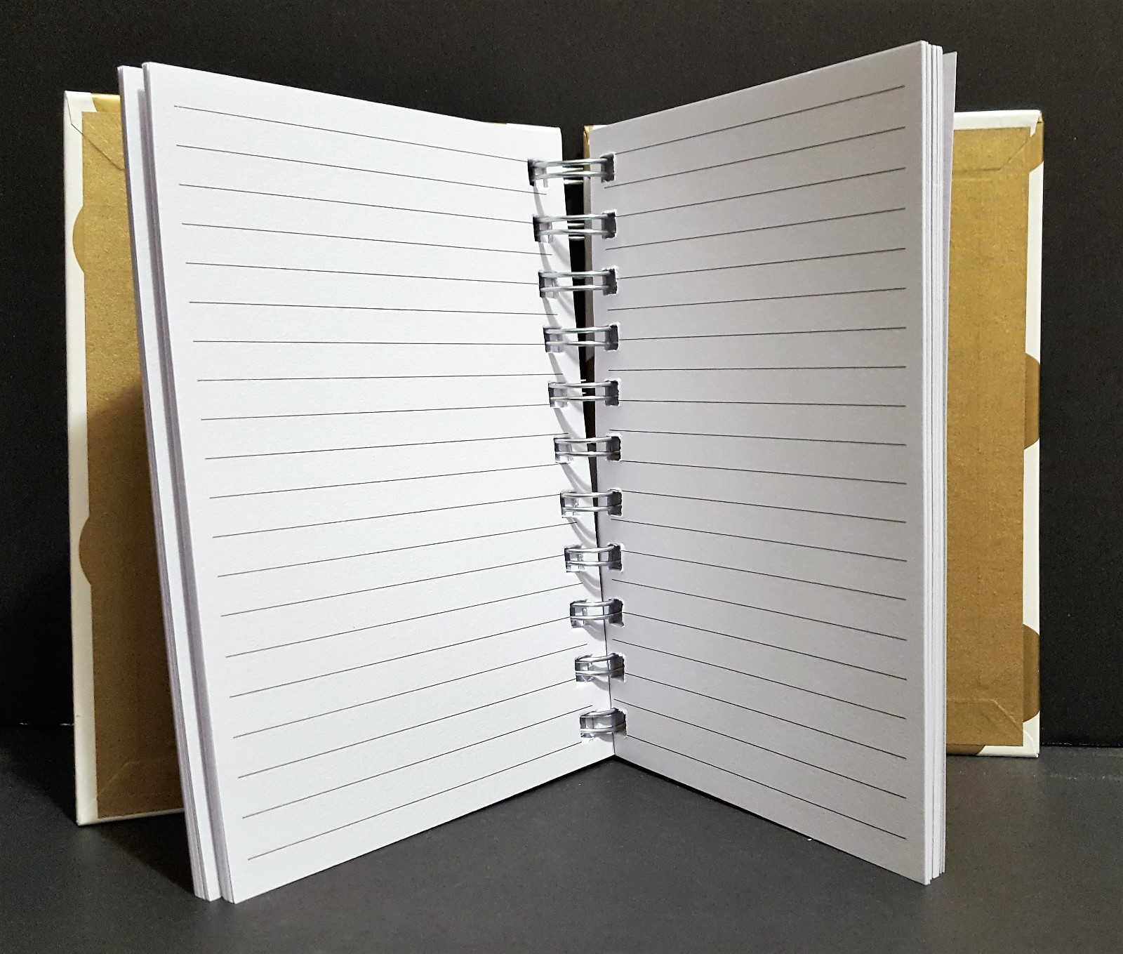 Robert Frederick Spiral Bound  Notebook Journal Diary 4