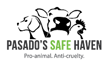 Pasado's Safe Haven