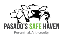 Pasado's Safe Haven