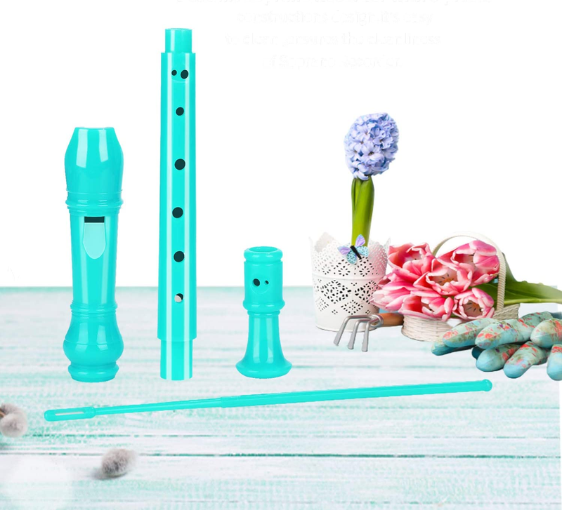 Music Recorder Instrument for Kids Flute with Cleaning Rod +