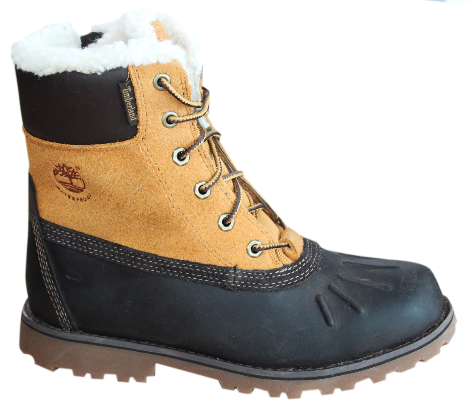 timberland asphalt trail
