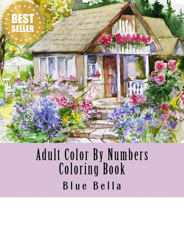 Adult Color by Numbers Coloring Book: Easy Large Print Mega Jumbo Coloring Book