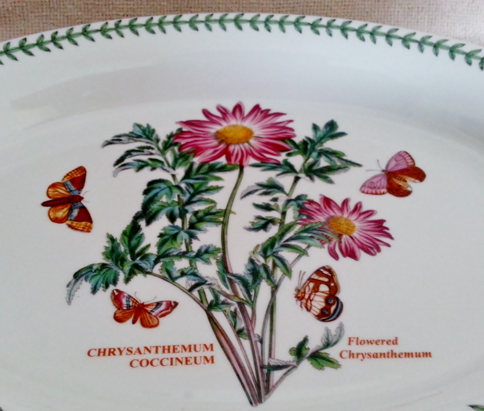 Portmeirion Botanic Garden Chrysanthemum Oval Au Gratin Dish