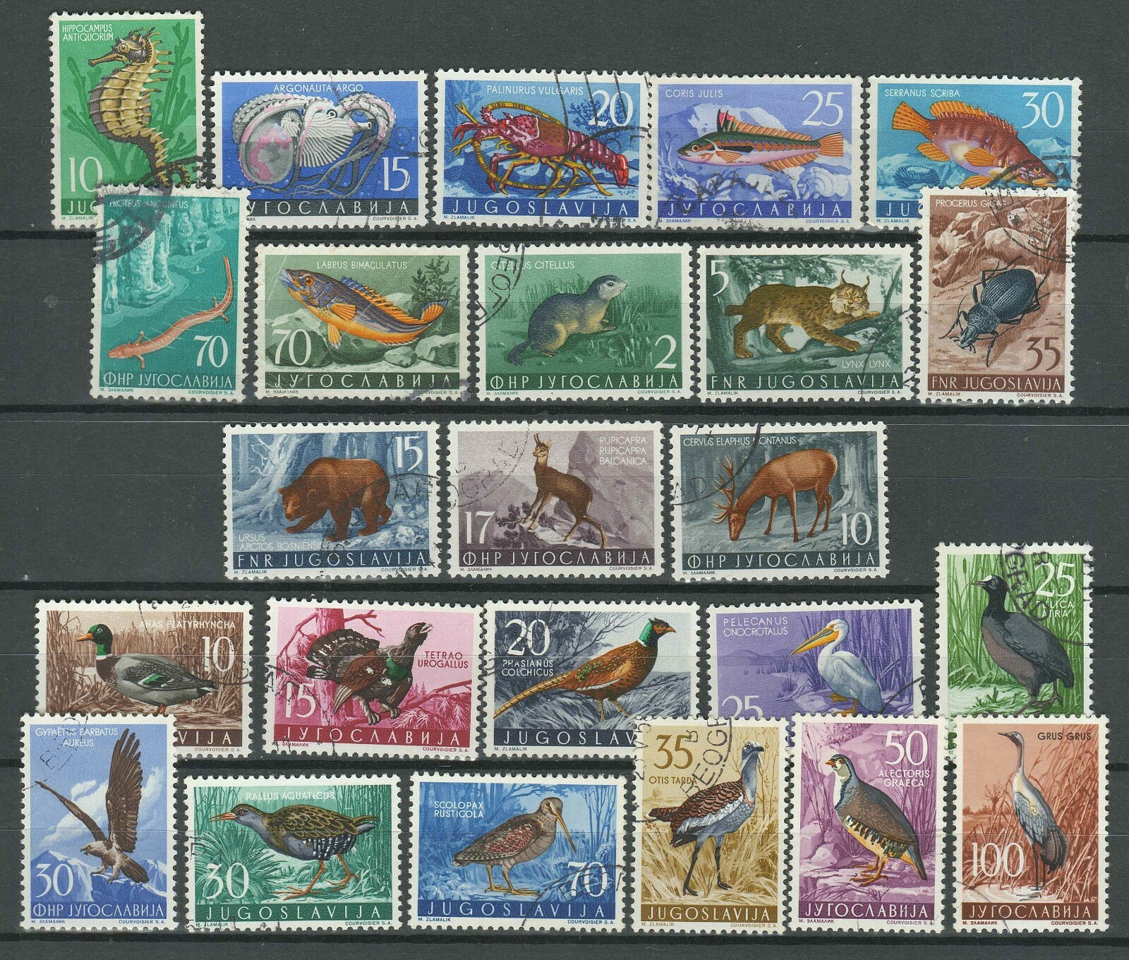 Jugoslawien ☀ Fauna - Wildtiere ☀ Gestempelt