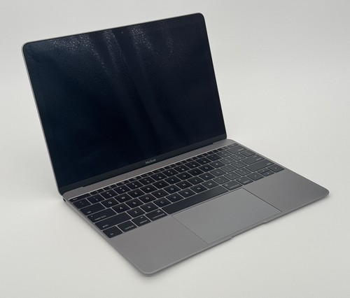 Apple 12