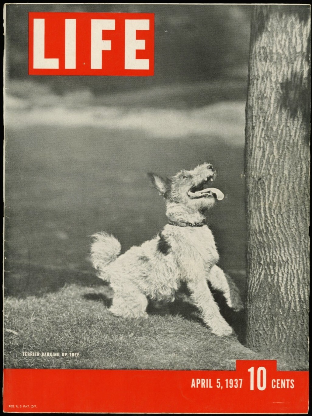 雑誌LIFE アンティーク　広告　1937 雑誌LIFE アンティーク 広告 1937 1937 Life Magazine - Etsy