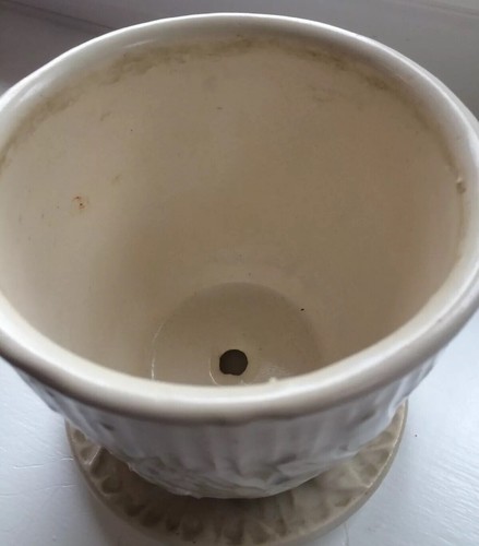 McCoy Medium Dragonfly Pot & Saucer - White