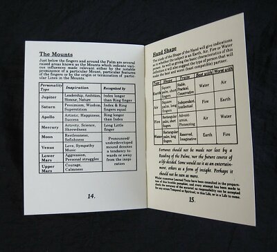 PALMISTRY HAND KIT Includes Cold-Cast Resin Hand & Guide Booklet Palm Reading