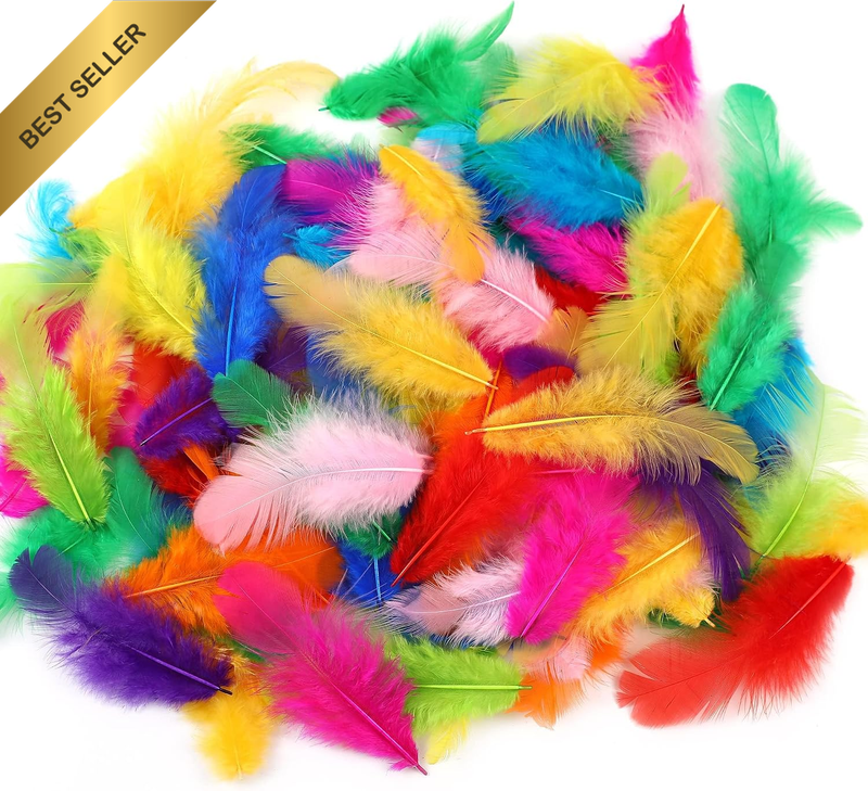 Craft Rooster Feathers, 300 Pieces, 3-5 Inch Colourful Natural Feathers for DIY,