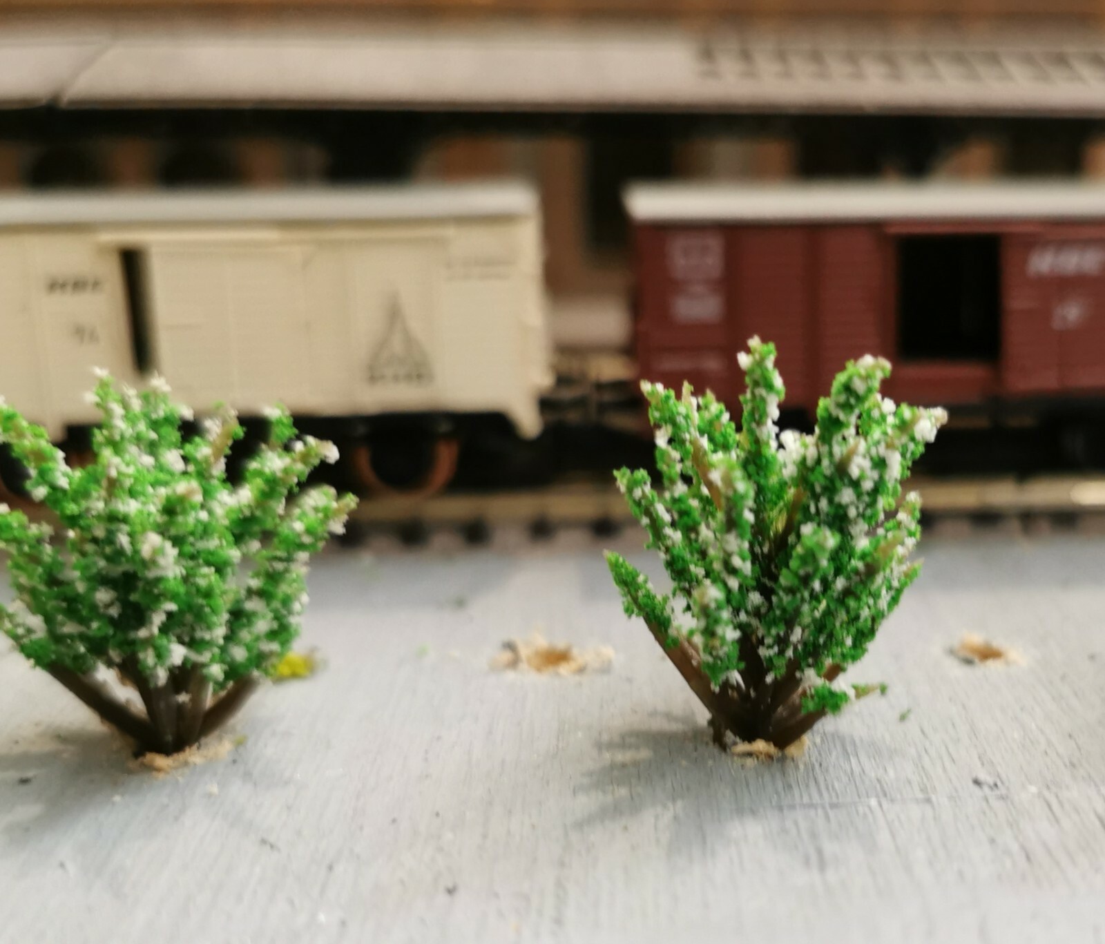 10 White Blooming Bushes, Shrubs, 30 mm High, for Landscape Construction