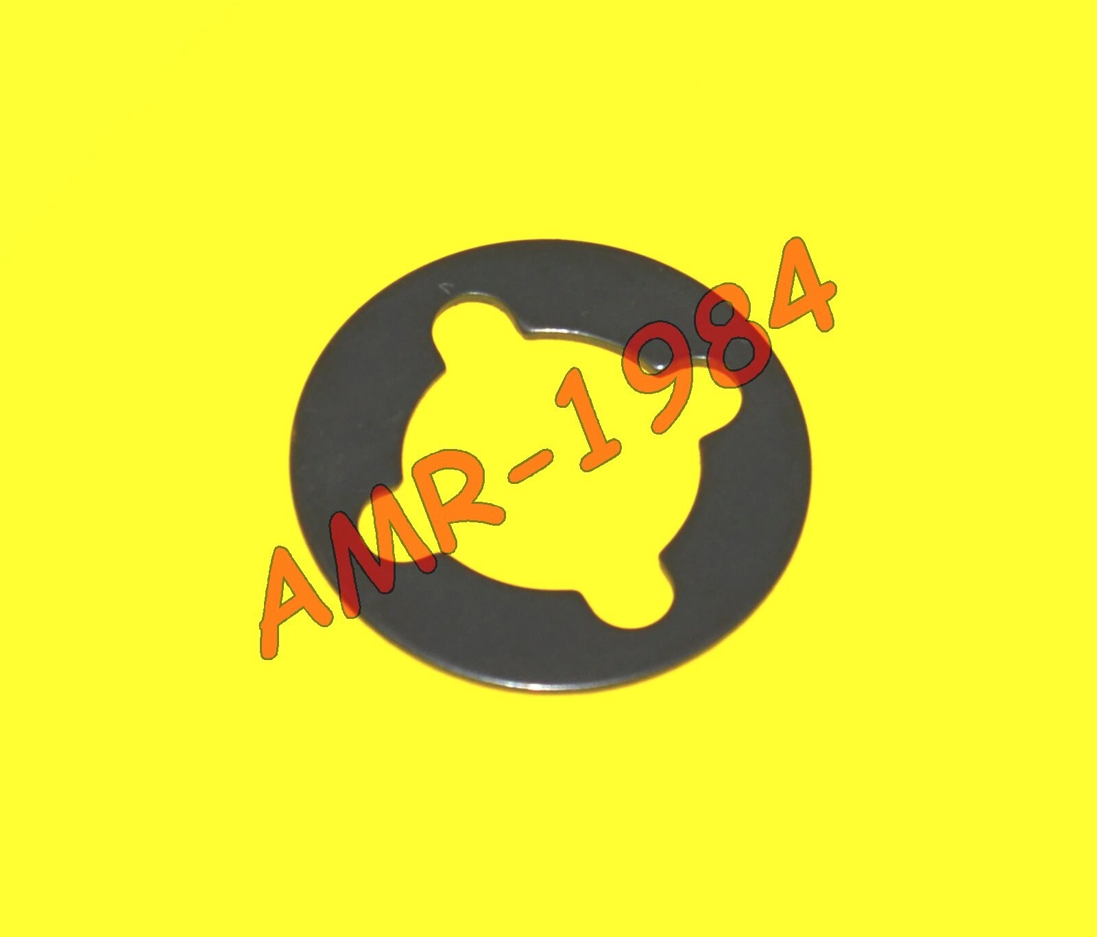 RONDELLA RASAMENTO   SU ALBERO SECONDARIO RS4 50 2011  RX 50 2018  AP871708