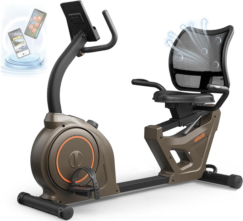 Niceday Recumbent Exercise Bike, Recumbent Bike for Home, Recumbent Stationary B