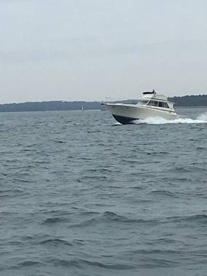 1973 Viking