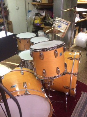 Maple bonham tom tom