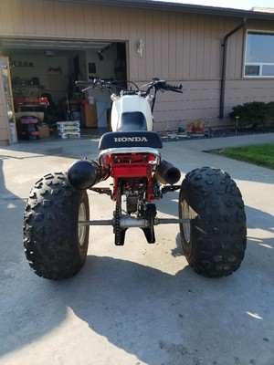 1984 honda 3 wheeler 200-x