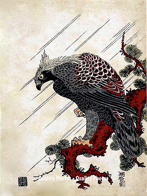 日本画「鳥獣」 読みもの の通販｜【公式】スタジオイイコロ - Studio1156