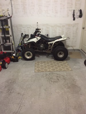 Yamaha warrior 350