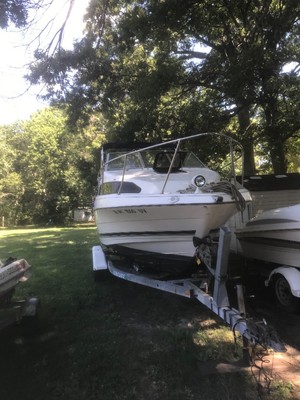 boats