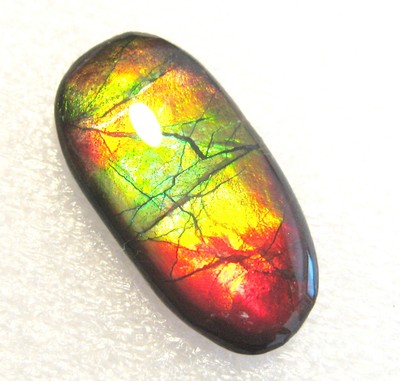 AMMOLITE GEMSTONE 26mm x 13mm